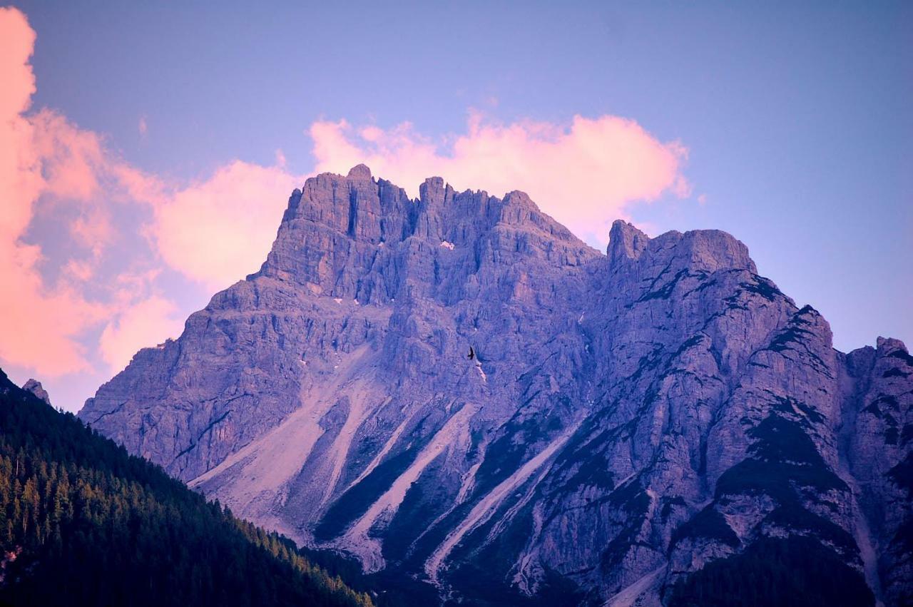 Casa Cadore Lozzo Cadore Eksteriør bilde